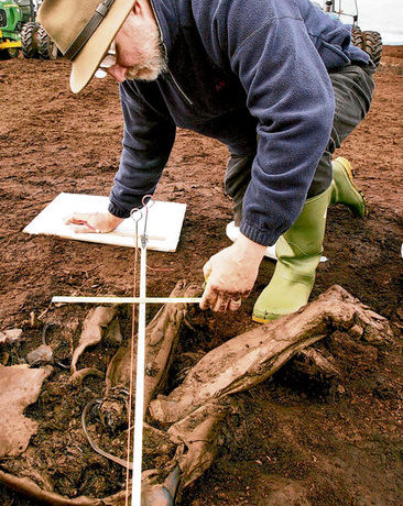 Ned Kelly and bog body